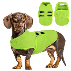 Chaqueta Queenmore para perro con forro suave verde, vista frontal para mayor calor.