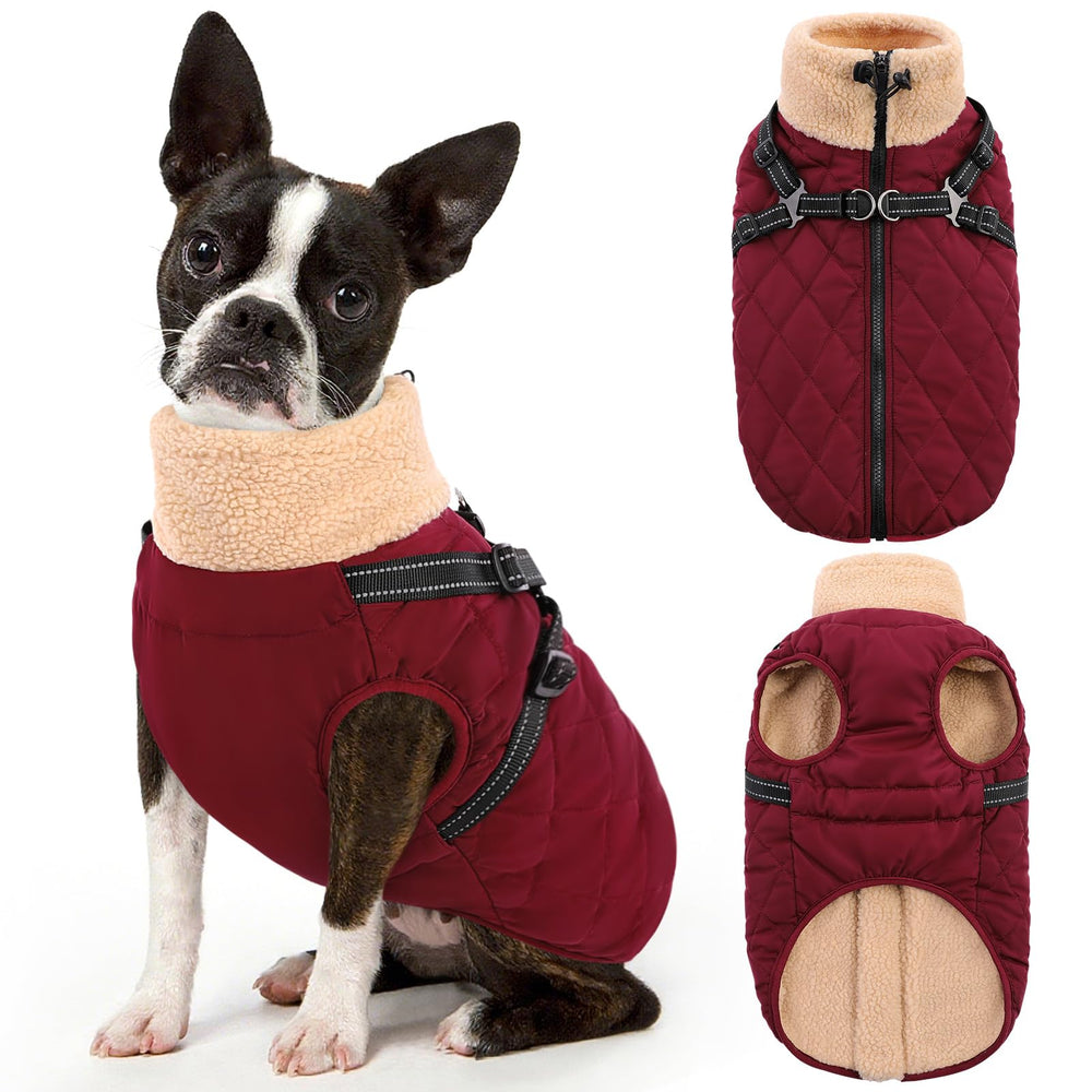 Queenmore chaqueta para perros grandes con cierre trasero, ideal para paseos con lluvia