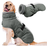 Queenmore chaqueta gris XXXL, vista frontal con forro cálido para perros.