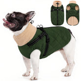 Chaqueta Queenmore para perro mediano, vista frontal, protege contra lluvia y viento durante paseos.