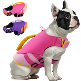 Queenmore chaqueta salvavidas para perro nadando, flotación estable.