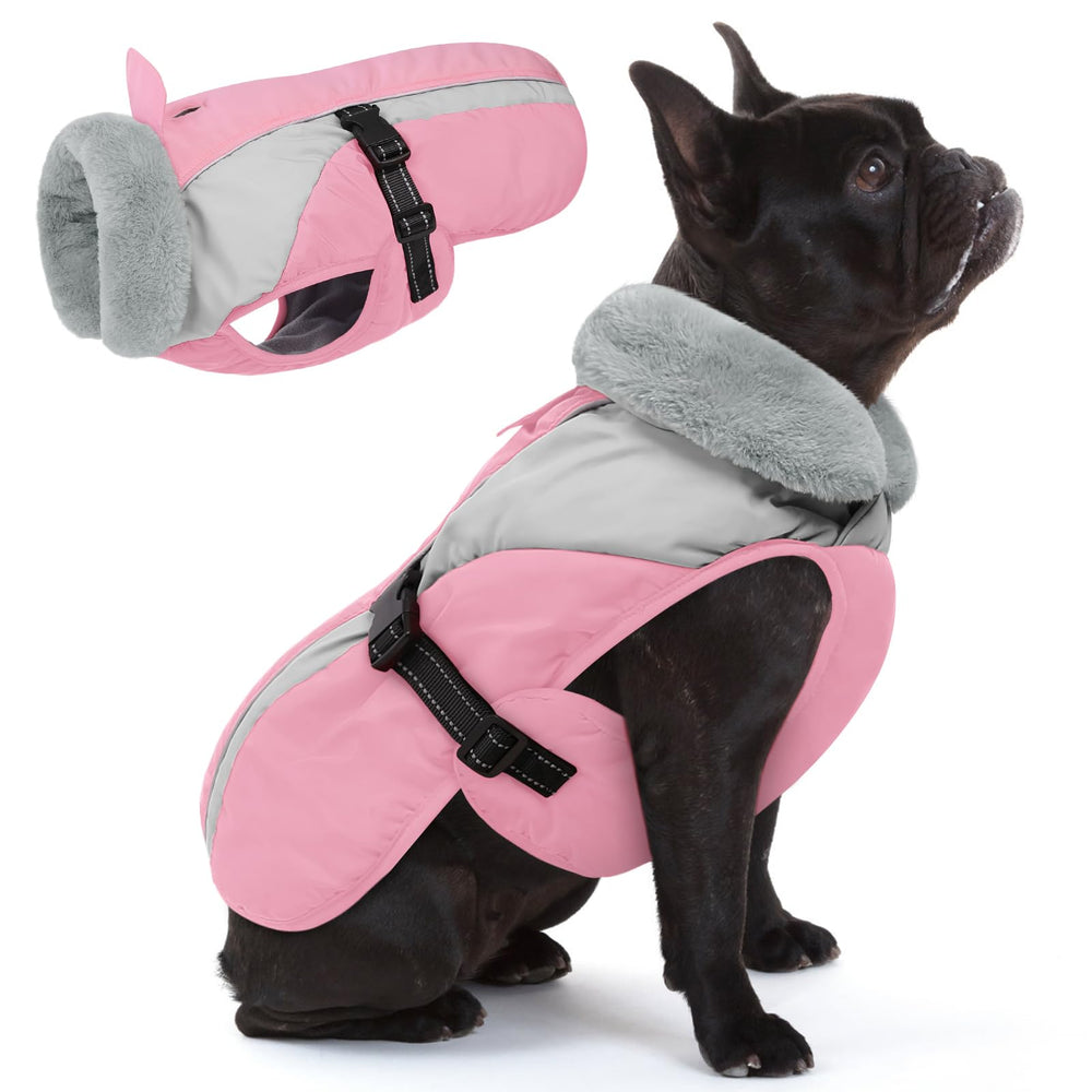 Queenmore cobijo invierno perro pequeno para paseos fríos con forro suave.