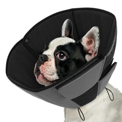 Queenmore cono suave para perros pequeños ofrece comodidad durante la recuperación.