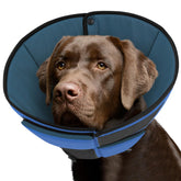 Queenmore cono suave para perro grande en azul, comodidad.