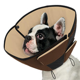 Cono suave Queenmore para perro pequeño, comodidad durante la recuperación y menos estrés.