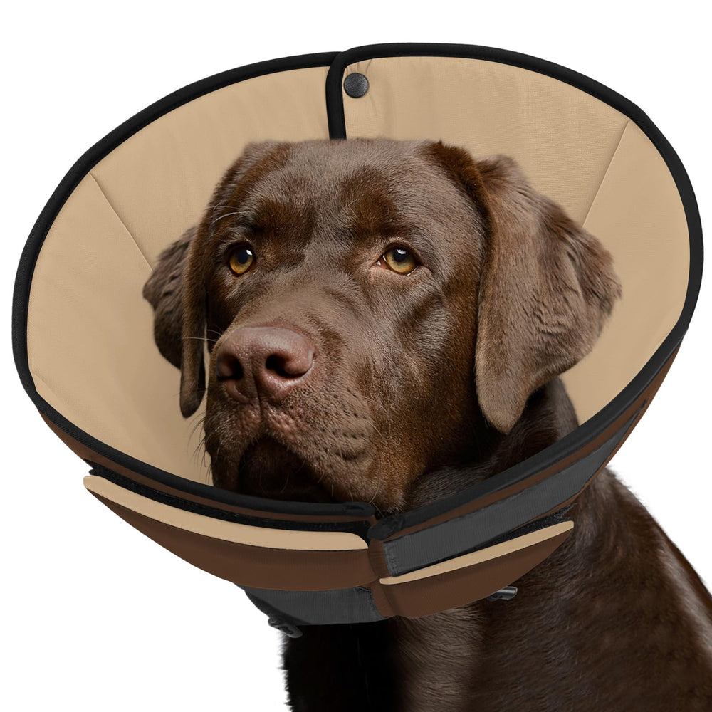 Cono suave Queenmore para perros grandes, ajuste cómodo para uso diario.