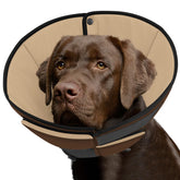 Cono suave Queenmore para perros grandes, ajuste cómodo para uso diario.