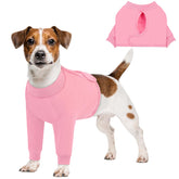 Queenmore manga de recuperación para perro cubre la pata frontal para evitar lamer heridas.