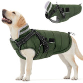 Queenmore abrigo para perro con arnés incorporado, ideal para paseos invernales y control de la correa.