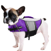 Queenmore chaleco para perro con nado ligero, ofrece flotación estable.