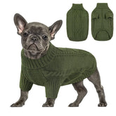 Queenmore sudadera para perro pequeño frente, ideal para paseos fríos