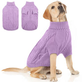 Sudadera Queenmore para perro de tamaño grande, vista frontal, cómoda para paseos invernales.