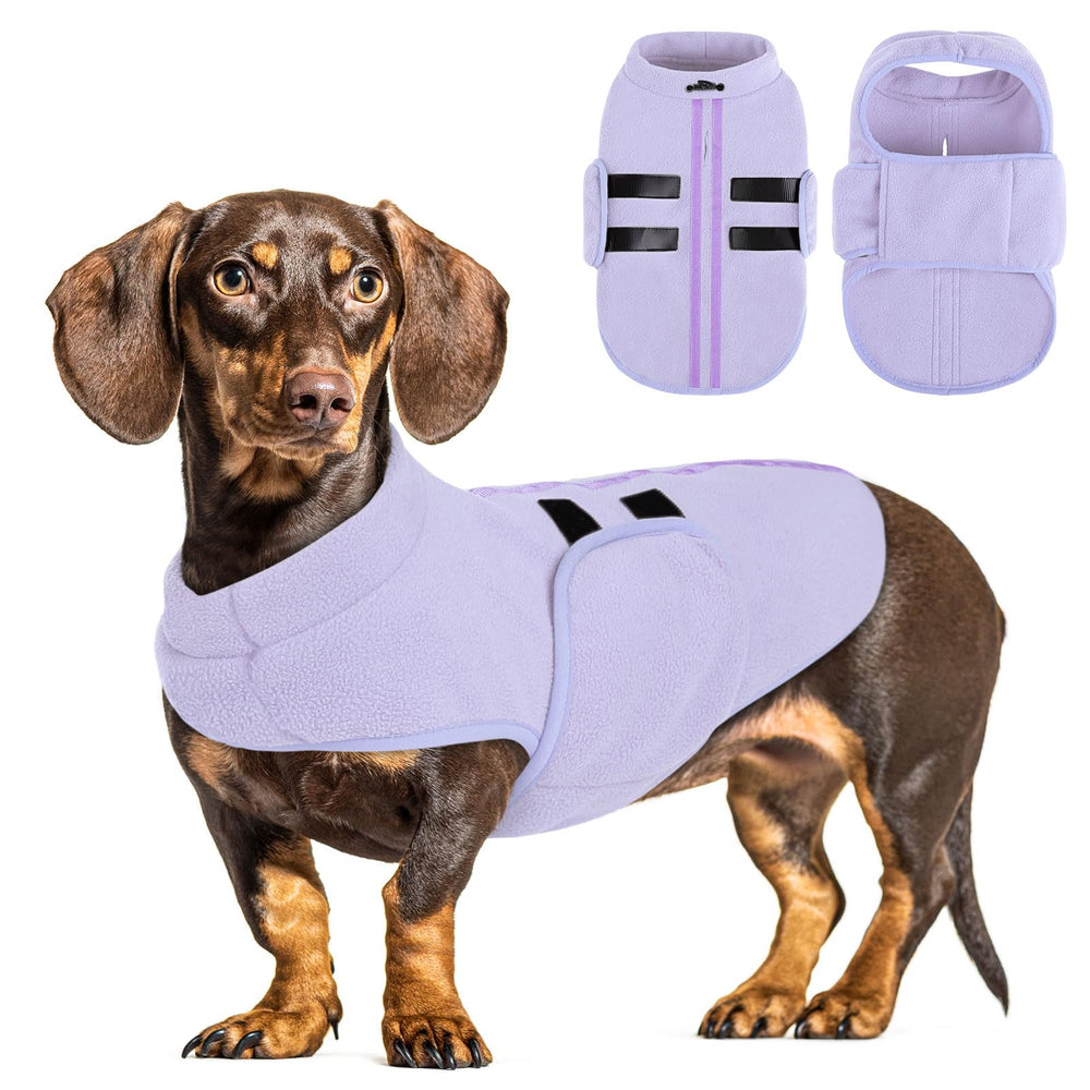 Queenmore suéter para perro pequeño lilac XS, diseño fácil de poner para uso diario.