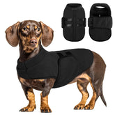 Queenmore XL sudadera perro frente: ajuste cómodo y cálido