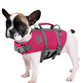 Queenmore XS Chaleco Salvavidas para Perro, frontal visible y flotante.