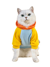 QWINEE Suéter capucha básico diseño vibrante para realzar la vitalidad de tu mascota.