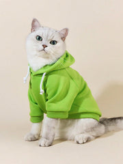 QWINEE Basic sudadera para perro verde, vista dorsal, diseño cómodo.