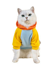 QWINEE Básico sudadera con capucha para perros, ideal para paseos en clima frío.