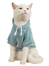 QWINEE Básico capucha frontal: abriga a tu mascota con estilo.