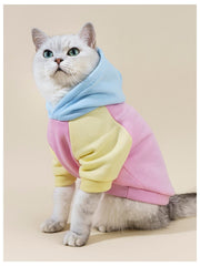QWINEE sudadera con capucha para perro, vista trasera, mantiene calor suave durante paseos.