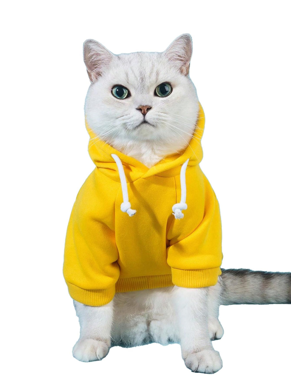 QWINEE sudadera para perro vista frontal, cálida y fácil de vestir