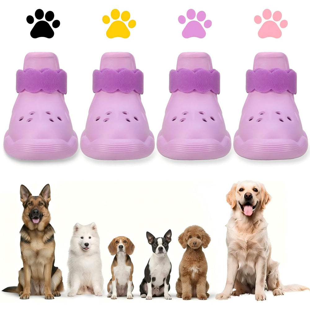 Botas para perros QXAPA púrpura, impermeables para todas las estaciones.