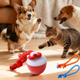 Pelota interactiva QZTRGDW con cuerda y canto de aves, ideal para estimular al perro.