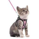 Rabbitgoo arnés de gato con malla de aire para paseos cómodos