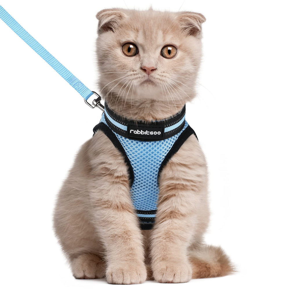 Arnés Rabbitgoo para gato ajustable de malla, comodidad diaria.