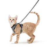 Arnés Rabbitgoo para gatos, ajuste-aire, cómodo y transpirable para paseos.