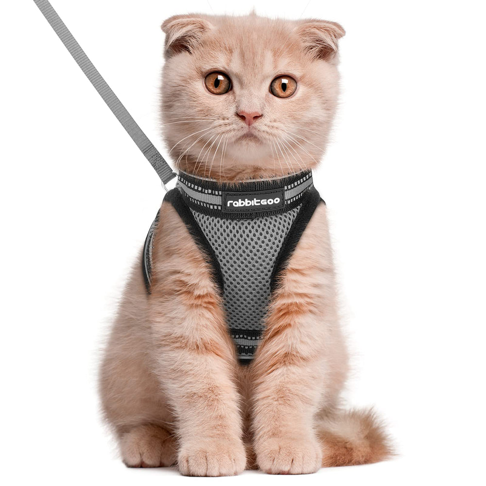 Arnés Rabbitgoo para gato con ajuste preciso y comodidad para paseos diarios