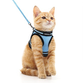 Arnés Rabbitgoo para gatos con chaleco reflectivo para salidas nocturnas seguras.