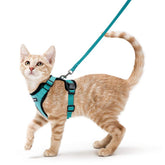 Arnés Rabbitgoo para gato con malla de aire, paseo cómodo y fresco