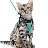 rabbitgoo arnés-gato-vest-verde-xl para paseos cómodos y seguros.
