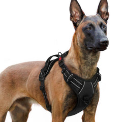 Arnés Rabbitgoo para perros con ajuste de 4 correas, cómodo y flexible.