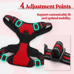 Arnés ajustable Rabbitgoo con cuatro correas para ajuste perfecto.