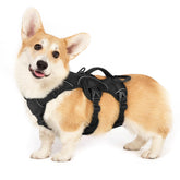 Arnés rabbitgoo para perros, malla transpirable y acolchado para paseos cómodos y largos