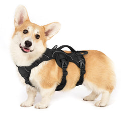 Arnés rabbitgoo para perros, malla transpirable y acolchado para paseos cómodos y largos