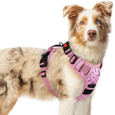 Arnés rabbitgoo floral rosa para perro, ajuste cómodo para paseos diarios.