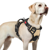 Arnés rabbitgoo para perro grande con 3 hebillas para ajuste rápido y seguro.