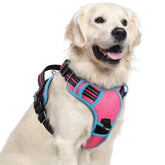Rabbitgoo arnés para perro grande con 3 hebillas, fácil de colocar y quitar