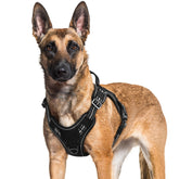 Arnés Rabbitgoo para perro grande con ajuste de pecho cómodo para paseos.