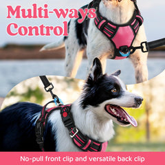 Arnés Rabbitgoo con asa superior ergonómica para control durante paseos.