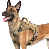 Arnés rabbitgoo para perro grande con clip frontal mejora el control al tirar