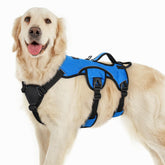 Arnés rabbitgoo para perro grande con enfoque escape y color azul