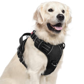 Arnés Rabbitgoo para perros grandes, vista frontal, control suave durante paseos.