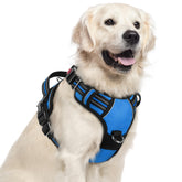 rabbitgoo arnés para perros grandes, vista frontal, cómodo y seguro para paseos