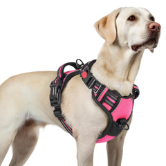 Arnés rabbitgoo para perro grande rosa con 3 hebillas para ajuste fácil