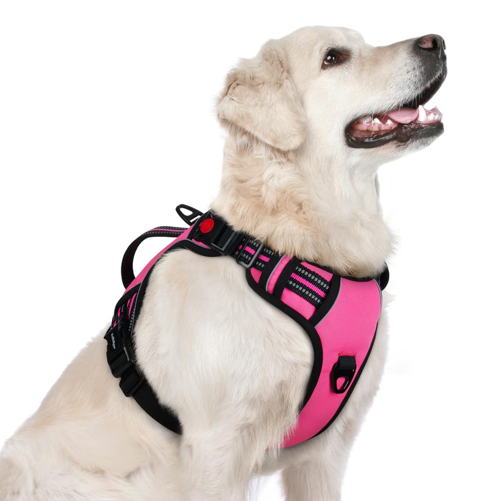 Arnés Rabbitgoo para perro grande rosa general, cómodo para paseos diarios