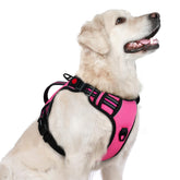 Arnés Rabbitgoo para perro grande rosa general, cómodo para paseos diarios